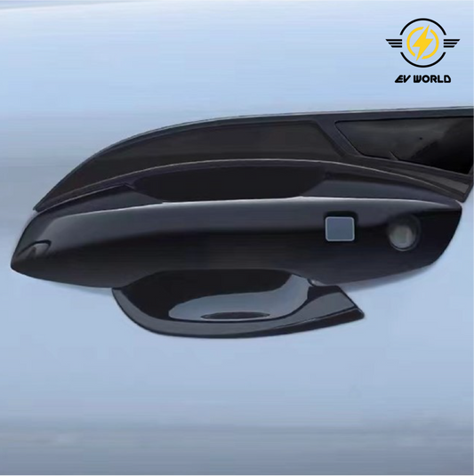 REVIEW: Carbon Fiber Door Handle Decoration (for BYD Atto 3)