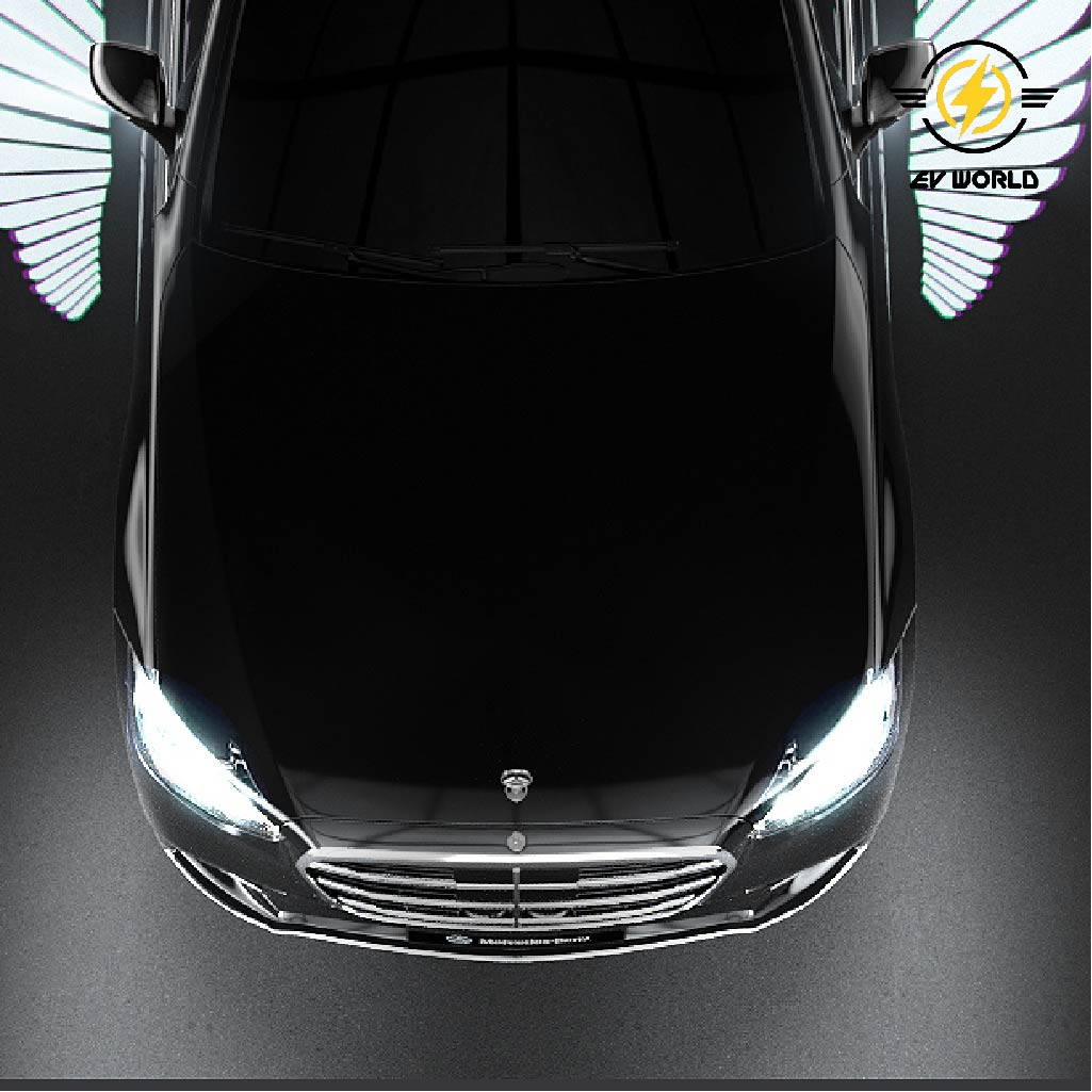 Angel Wing Car Mirror Light