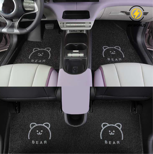 REVIEW: Cute Cartoon Threaded Foot Mats (for BYD Dolphin)
